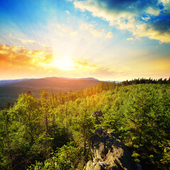 Wall Mural - summer landscape in national park sumava at sunrise. view from the pancir mountain. czech republic.