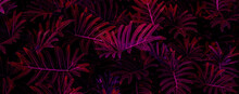Closeup Nature View Of Purple Leaf  Background