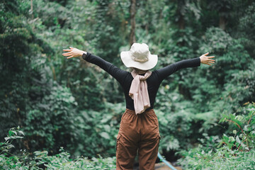 Wall Mural - Rear view of asian muslim hiker woman brown hijab standing in front of the tropical forest with her hands raised.