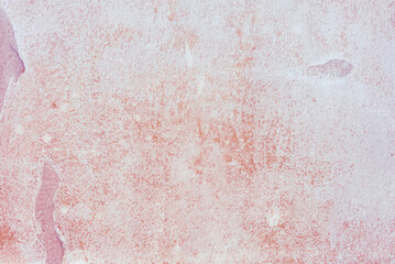 Canvas Print - abstract old wall pastel color texture background