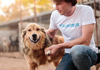 Man communicating with dog in yard of animal shelter