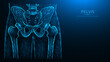 Abstract polygonal vector illustration pelvis and hip. X ray of the hip joint made from lines and dots, isolated on a blue background.