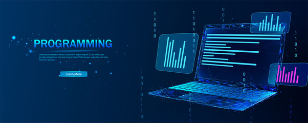 Wall Mural - software, web development, programming concept. abstract programming language and program code on th