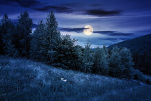 Trees On The Hill In Summer Scenery At Night. Beautiful Mountain Landscape In Full Moon Light