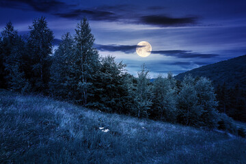 trees on the hill in summer scenery at night. beautiful mountain landscape in full moon light