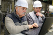 © auremar - two engineers working on a laptop