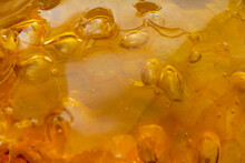 Close Up  Beautiful Bee Honey In Honeycomb