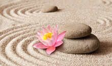 Zen Garden Meditation Stone Background And Flower With Stones And Lines In Sand For Relaxation Balance And Harmony