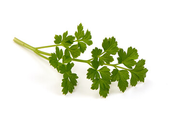 Fresh parsley, close-up, isolated on white background