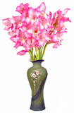 Fototapeta  - gladioli still life vase