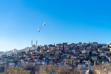 Kahramanmaras city skyline and mosque with man pigeons