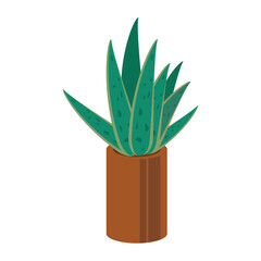 Poster - home plant in brown ceramic pot