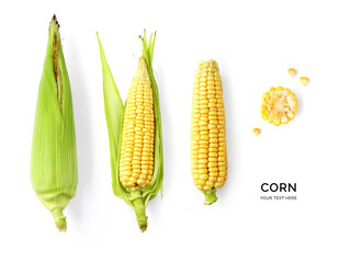 Wall Mural - Creative layout made of corn on the white background. Flat lay. Food concept. Vegetables isolated on white background.