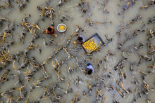Aerial view of flood water has damaged crops and thousands of people have been waterlogged in Sariakandi, Bogura, Bangladesh.