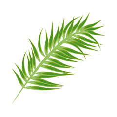 Sticker - tropical leave palm green nature icon