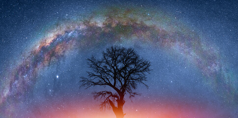 Aufkleber - Lone dead tree with amazing Mily Way at sunset