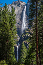 Upper And Lower Yosemite Falls Of Yosemite National Park.