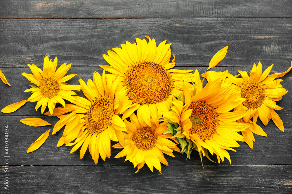 Beautiful sunflowers on wooden background
