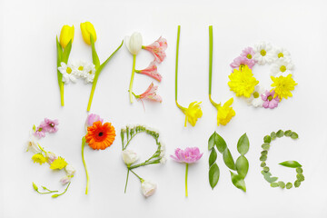 Text HELLO SPRING made of flowers on white background