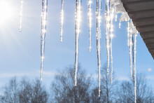 Icicles Against A Blue Sky In Severe Frost. Long Shiny Icicles Hang From The Roof In The Sunlight. Photo Taken In The Urals, Russia. Bright Photomurals Of Nature. Beauty Is In The Details.
