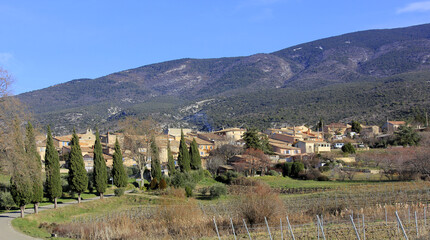 Wall Mural - paysage vauclusien