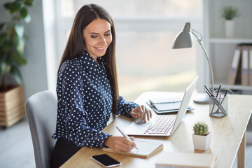 Wall Mural - Profile side photo of young attractive beautiful cheerful positive businesswoman working in laptop writing in notebook at office