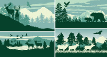 Mountain Forest Animal Wildlife Landscape Vector Outdoor Adventure Silhouette Labels Collection