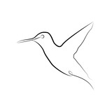 Fototapeta Dinusie - Hummingbird in one line. Black line vector illustration on white background