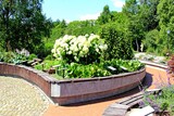 Fototapeta  - Arboretum Bolestraszyce