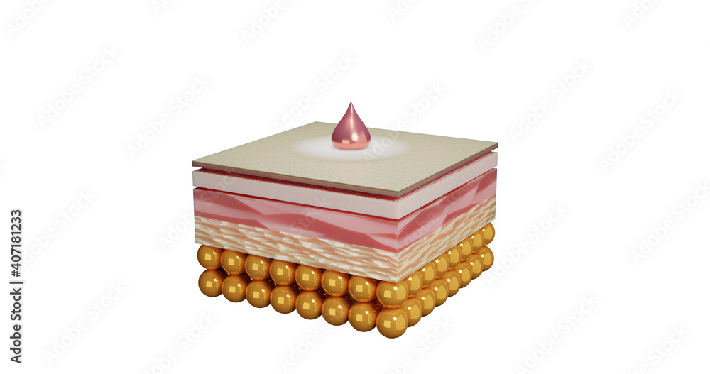 3d render illustration of the anatomy of the skin layers. The cross ...