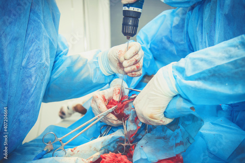 Obraz Dibond Surgical incision into the bone. Performing a complex surgical operation. Veterinarian surgery, fixing of wounded canine leg. Horizontal image.