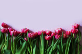 Fototapeta Tulipany - Bouquet of pink tulips on pink background. Mothers day, Valentines Day, Birthday celebration concept. Greeting card. Copy space for text, top view
