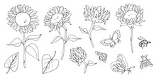Line Drawing Woman People Clipart Black Woman Png Face Line Art Hand Drawn Flower Floral Sketch Sunflower Girls Digital Clipart Women