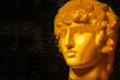 © Светлана Лазаренко - A statue. Plaster decorative golden statue of the head of Apollo.