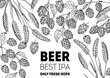 Brewery design template. Beer hop illustration. Hand drawn sketch design. Beer ingredients vector illustration.