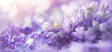 Fototapeta Kwiaty - floral background with lilac and blur. Purple flowers with bokeh. Spring Banner