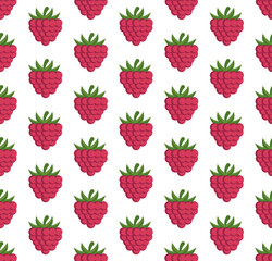 Wall Mural - seamless pattern with raspberriesVector seamless pattern in raspberries on a white background