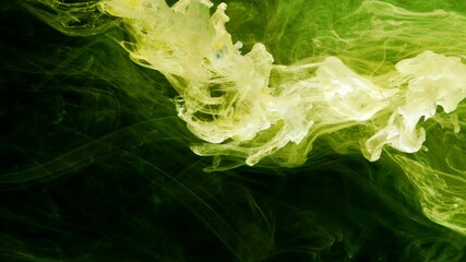 Wall Mural - Acrylic colors in water. Ink blot. Abstract black background.