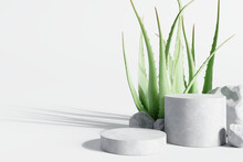 White Stone Podium, Cosmetic Display Stand With Aloe Vera On White Background. 3D Rendering