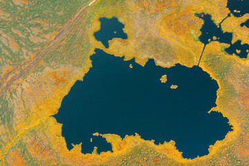 Poster - Miory District, Vitebsk Region, Belarus. The Yelnya Swamp. Upland And Transitional Bogs With Numerous Lakes. Elevated Aerial View Of Yelnya Nature Reserve Landscape. Famous Natural Landmark