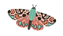 Gorgeous Butterfly With Bright Multicolor Wings And Antennae Isolated On White Background. Beautiful Flying Moth. Hand Drawn Colored Insect. Colorful Flat Textured Vector Illustration