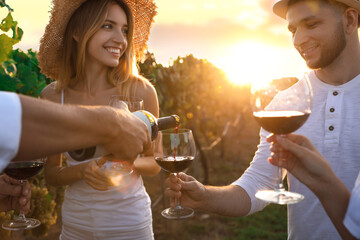 Poster - Friends tasting red wine in vineyard on sunny day, closeup