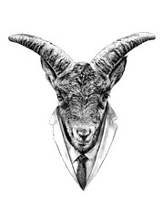 The Head Of The Goat In Front Is Symmetrical With A Formal Suit In Tie And Jacket, Sketch Vector Graphics Monochrome Illustration On White Background