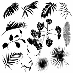 Wall Mural - Set of palm leaves silhouettes. Black summertime poster. Collection of scrapbooking elements for beach party with exotic plants.
