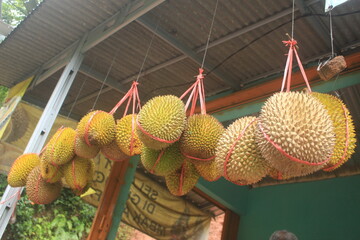 Wall Mural - photo of delicious durian fruit from Indonesia