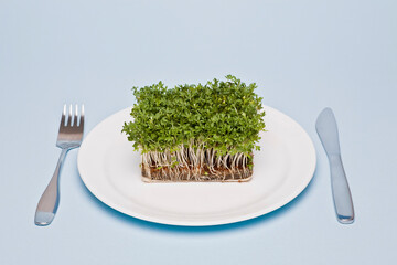 Wall Mural - Studio photo of new grown cress on a white plate. Cutlery on the sides. Isolated on light blue background. Selective focus on object.