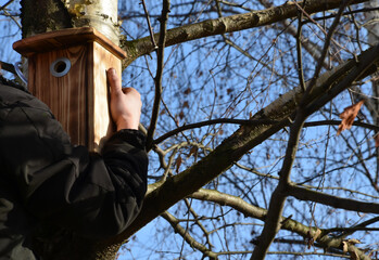 installation and inspection of birdhouses on trees for spring nesting. A man in an overall fitter takes an ornithologist up a ladder and attaches a nesting box for titmouse.