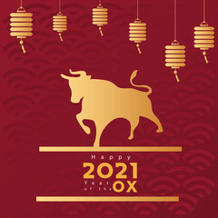 Canvas Print - chinese new year poster with golden ox and lamps hanging