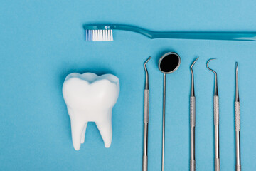 Wall Mural - Top view of tooth model near toothbrush and dental tools on blue background