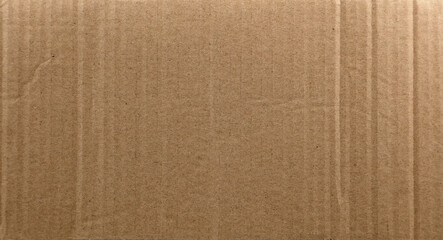 Wall Mural - Corrugated cardboard texture background